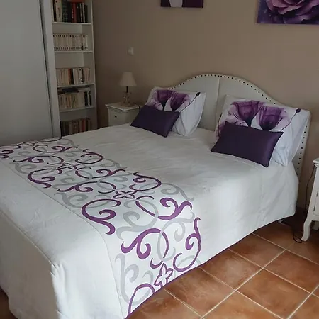Location Saisonniere En Provence Apartment Rochefort-du-Gard Exterior photo